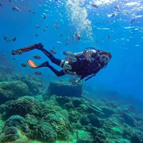 scuba diving in goa
