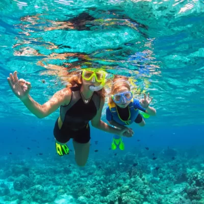 scuba diving in goa