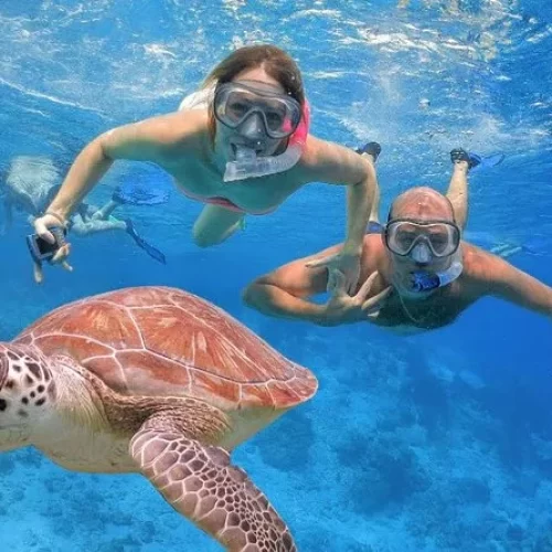 scuba diving in goa